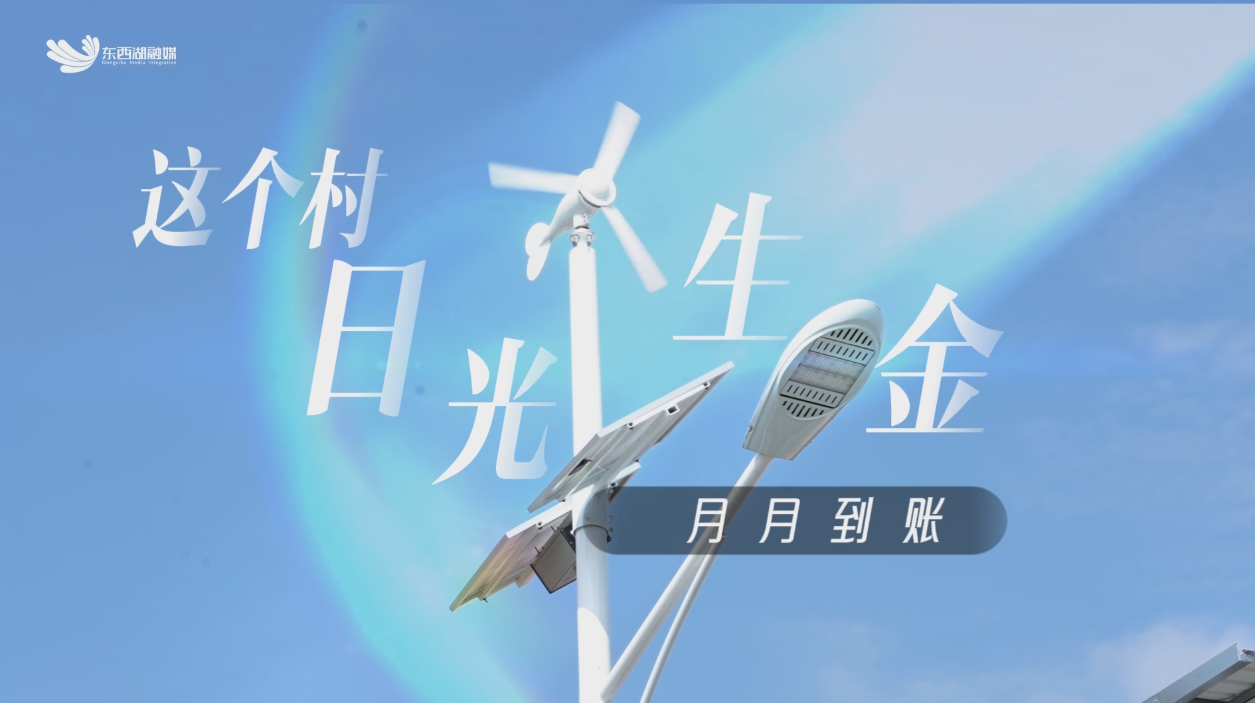 月月到账！这个村日光生金