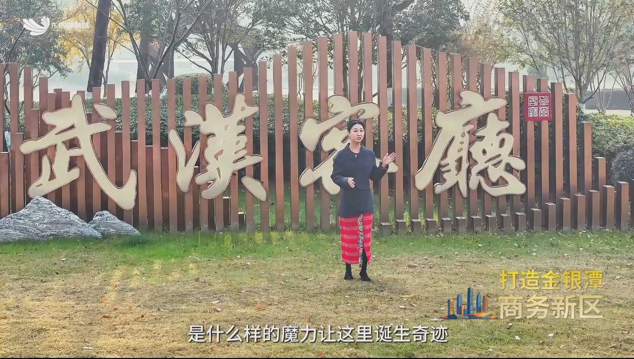 网谷这五年·再街再厉之将军路街